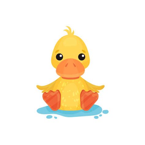 Puddle Duck Illustrations, Royalty-Free Vector Graphics & Clip Art - iStock