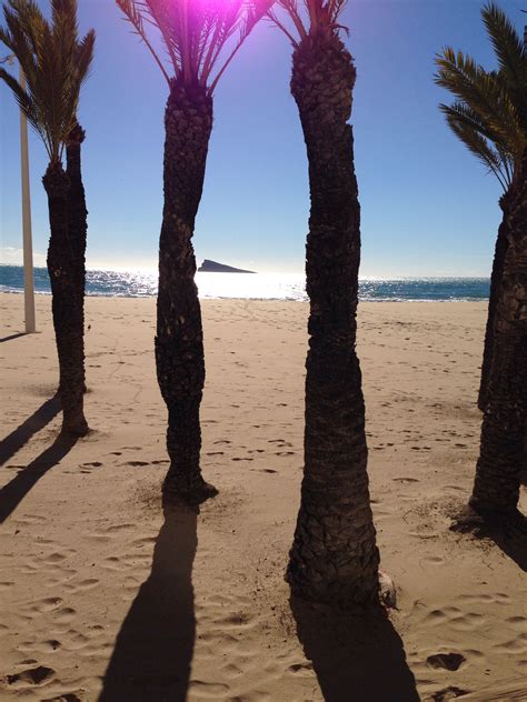 Benidorm Beaches | Benidorm, Benidorm beach, Beach