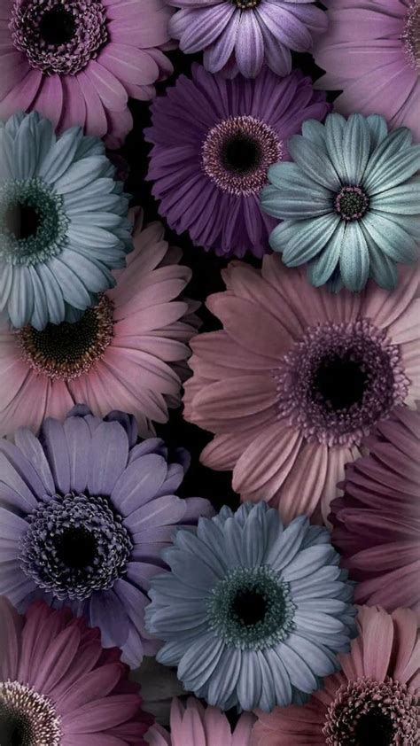 Wallpaper for Phone | Pinterest | Iphone wallpaper purple flower, Floral wallpaper iphone ...