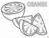 Fun And Free Orange Coloring Pages For Kids  GBcoloring sketch template