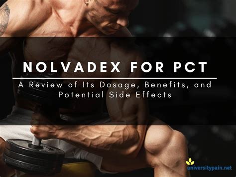 Nolvadex for PCT: A Review of Its Dosage, Benefits, and Potential Side ...