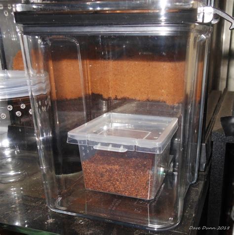 Formicarium DIY Try #1 - General Ant Keeping - Ants & Myrmecology Forum