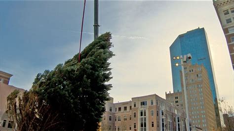 Woman tries to light Christmas tree on fire at Sundance Square in Fort ...