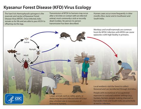 Kyasanur Forest Disease