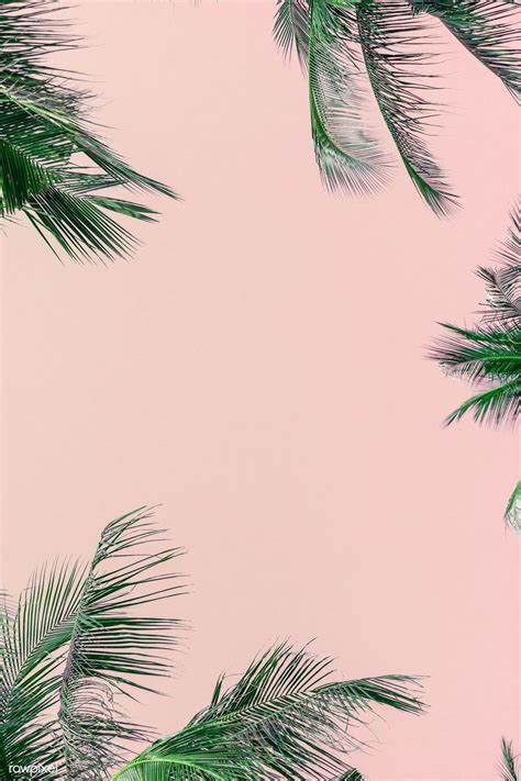 Download premium image of Tropical green palm leaves on pink background ...