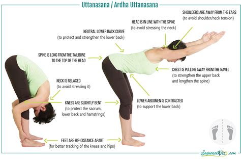 How to avoid overstretching in forward bends