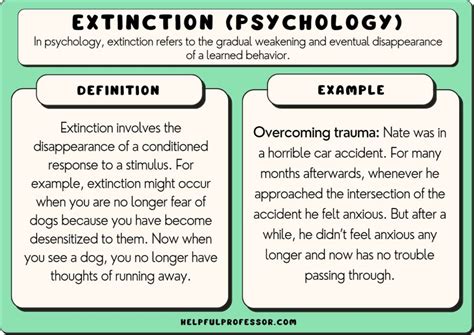 15 Extinction Examples (Psychology) (2024)