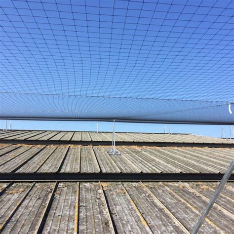 Supermarket roof netting – Reactive Group Services