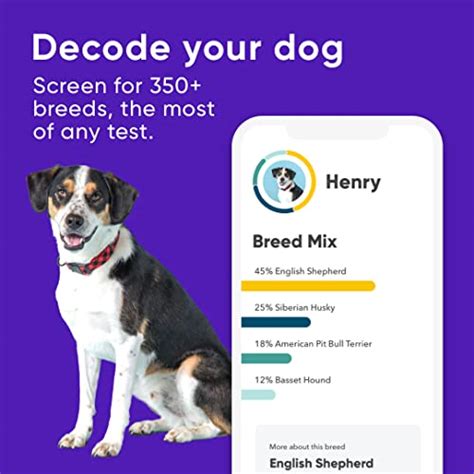 Embark | Dog DNA Test | Breed & Health Kit | Breed Identification ...