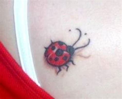 Ladybug Tattoo Realistic