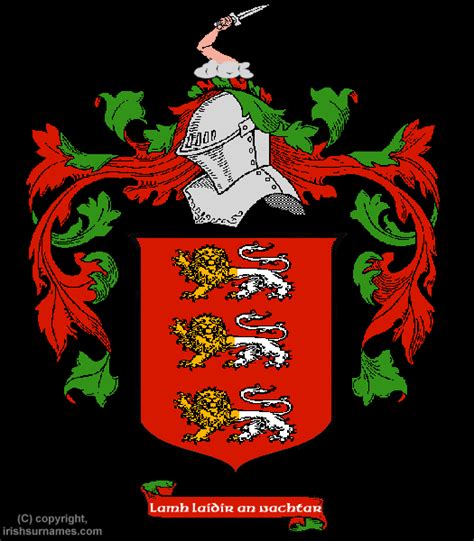 O'Brien Coat of Arms, Family Crest - Free Image to View - O'Brien Name ...