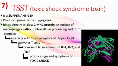 MECHANISM of ACTION of some GRAM positive BACTERIA’s exotoxin | PPT