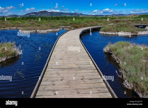 Wooden bridge across the lake Stock Photo - Alamy