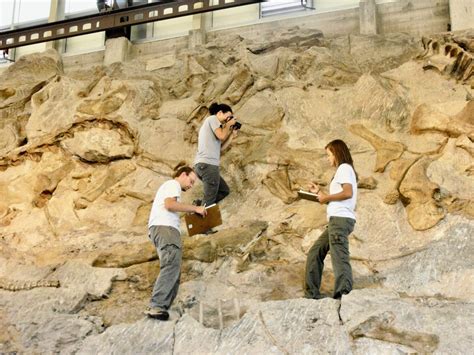 Fossils Come Alive at Dinosaur National Monument | Laurel Kallenbach