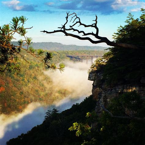 Morning fog hiking on the Endless Trail, Fayetteville, WV. New River Gorge, Bridge Day weekend ...