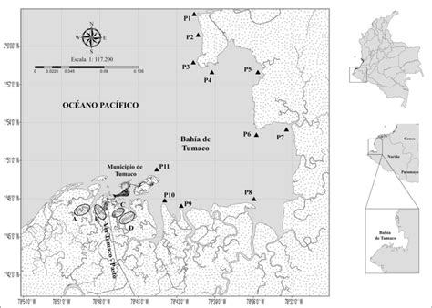 Bahía de Tumaco, Nariño, Colombia, indicando los puntos de muestreo en... | Download Scientific ...