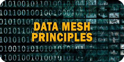 Data Mesh Principles: Paradigms and Perspectives to Know