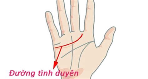 10 Bí Mật Về Chỉ Tay Đường Tình Duyên Mà Bạn Chưa Biết