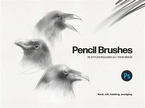 Basic Pencil Photoshop Brushes by Olga Lysenkova for Pixelbuddha on Dribbble