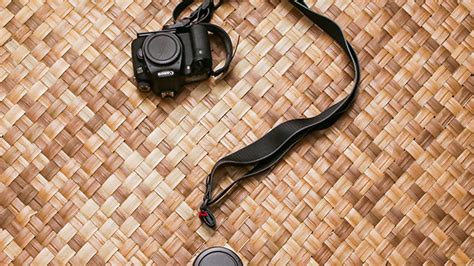 Which Canon dSLR? - CNET