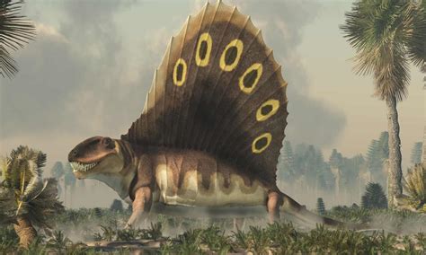 Dimetrodon - A-Z Animals