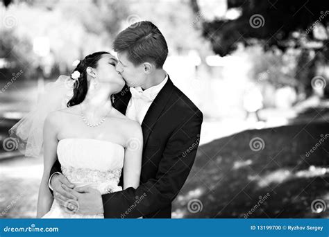 Romantic Kiss Bride And Groom Stock Photo - Image: 13199700