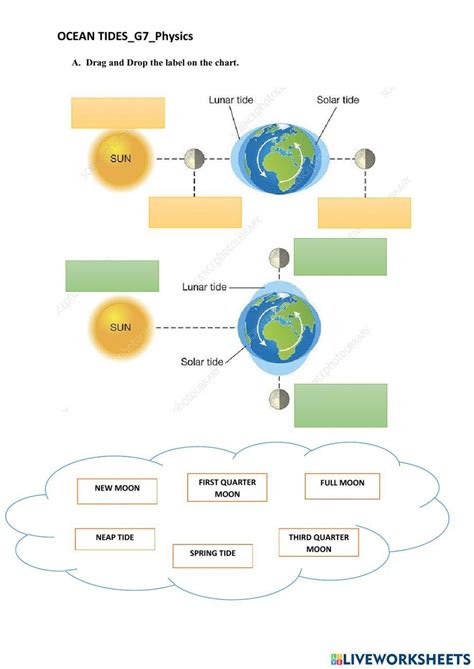 Tides worksheet | Live Worksheets - Worksheets Library