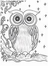 Night Owl Coloring Page sketch template