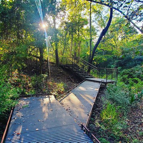 Beautiful hikes can be found in Houston! Taken at the Arboretum in Memorial Park yesterday. : r ...