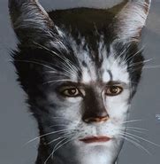 Robbie Fairchild | 'Cats' Musical Wiki | Fandom