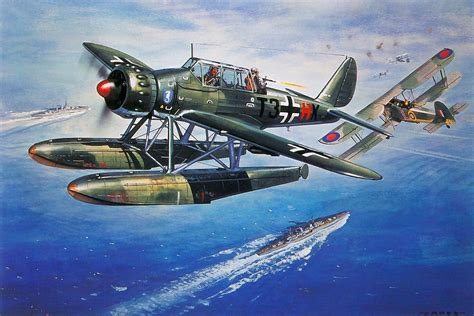 Roy Cross Arado Ar 196 | Aircraft art, Aviation art, Wwii airplane art