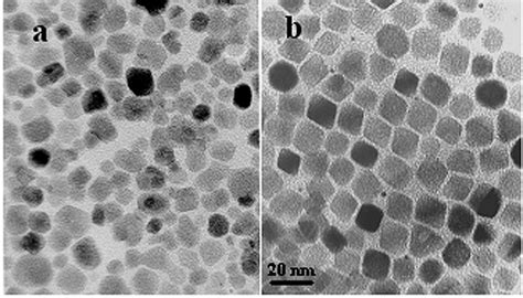 TEM images of magnetite nanoparticles prepared by different methods:... | Download Scientific ...