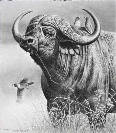 26 Stunning drawings of animals Made From Pencil And Paper