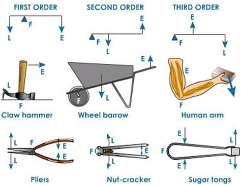 newtonian mechanics - Does the fulcrum of a 2nd or 3rd class lever have ...