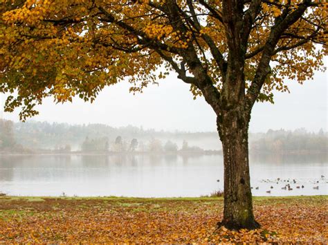 Deer Lake Park, Burnaby photo spot, Burnaby