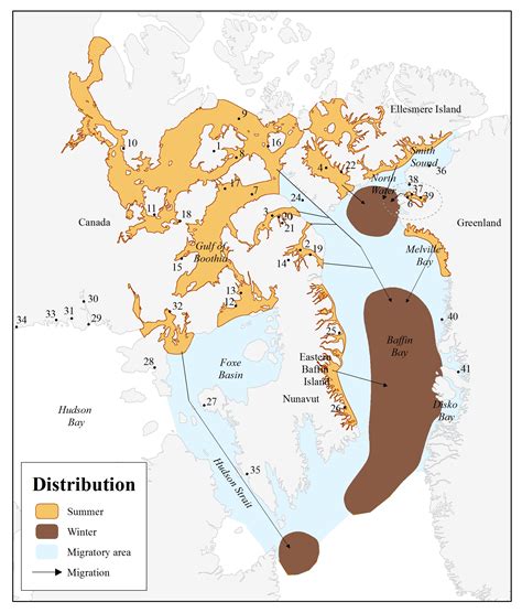 Narwhal Habitat Map