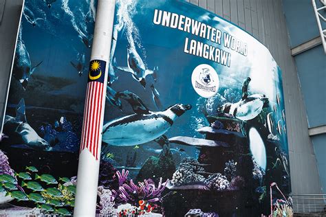 【Review】Underwater World Langkawi Malaysia - The Local Travel Guide