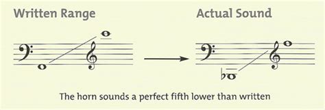 The French Horn: An Instrument With A Unique Sound Created By Partials ...