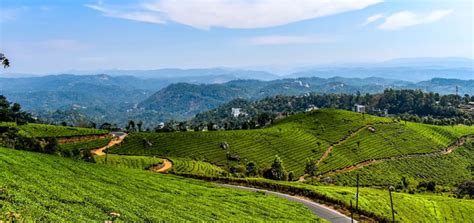 Munnar Kerala - Munnar Kerala