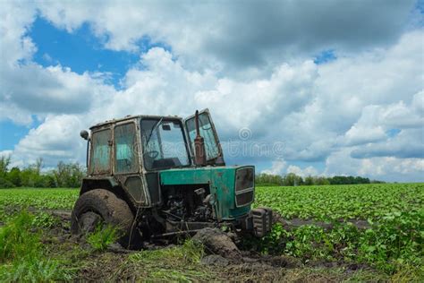 Field of Dirt stock photo. Image of nature, infield, land - 6106770