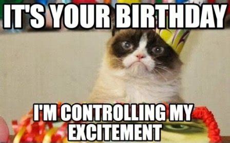 Funny Happy Birthday Cat Meme - 2HappyBirthday