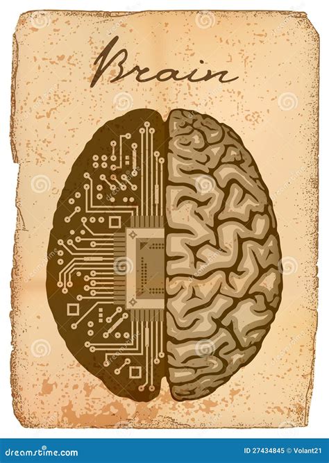 Electronic Brain. Royalty Free Stock Photo - Image: 27434845