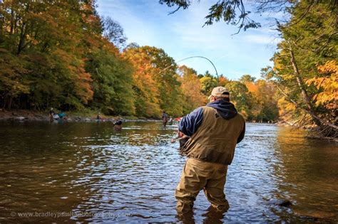 Salmon fishing on Salmon River worth a try Labor Day weekend - syracuse.com