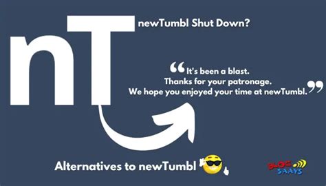 Is NewTumbl Shut Down Permanently? What Are Alternatives To NewTumbl? - BlogSaays