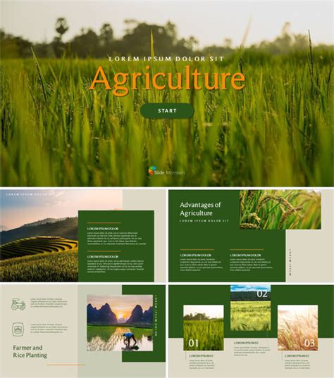 70+ agriculture PPT Templates - Slide Members