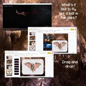 Virtual Field Trip - Interactive Adventure - Bats - Bat Caves ...