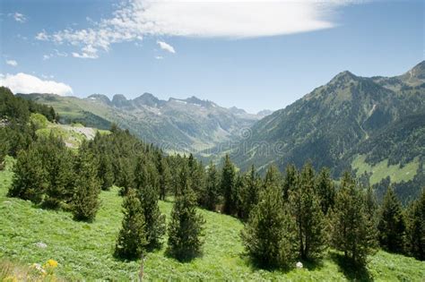 Trees and Mountains of Spain Pyrenees Stock Photo - Image of national ...