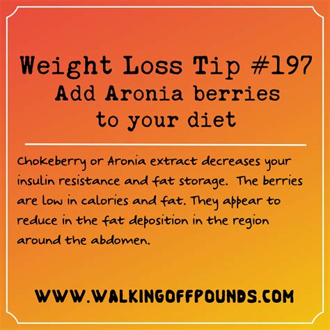 Weight loss tip: Add Aronia berries or chokeberries to your diet – Walking Off Pounds