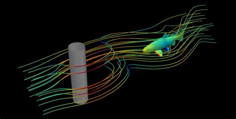 Fish React Quickly to Large an [IMAGE] | EurekAlert! Science News Releases