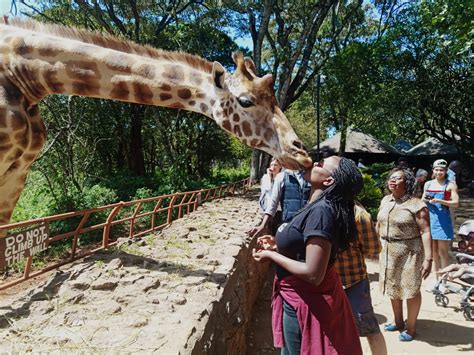 Giraffe Center Nairobi, Kenya. - kemzykemzy